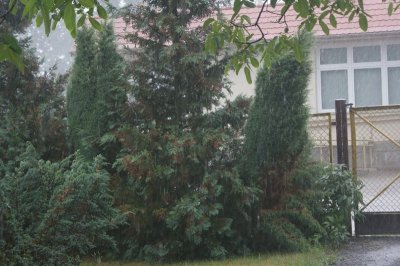image dsc03112-jpg