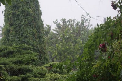 image dsc03113-jpg